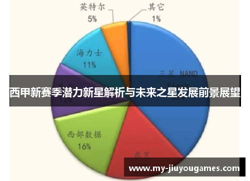 西甲新赛季潜力新星解析与未来之星发展前景展望
