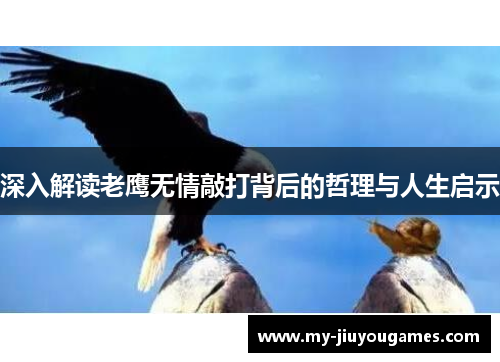 深入解读老鹰无情敲打背后的哲理与人生启示
